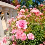 Füge Luxury&wellness Balatonfüred