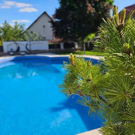 Fuege Luxury & Wellness Гостевой дом Балатонфюред
