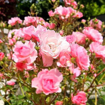 Gasthof Füge Luxury&wellness 4*