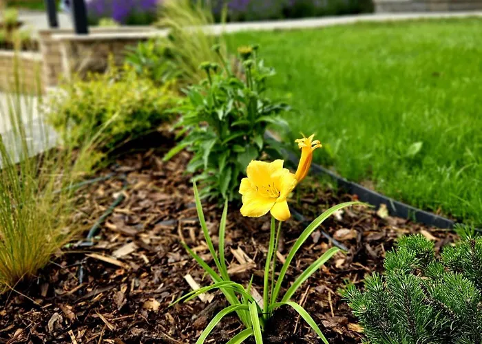 Fuege Luxury & Wellness בית הארחה באלאטונפורד