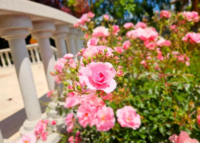 Fuege Luxury & Wellness באלאטונפורד