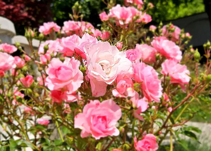 Affittacamere Fuege Luxury & Wellness 4*